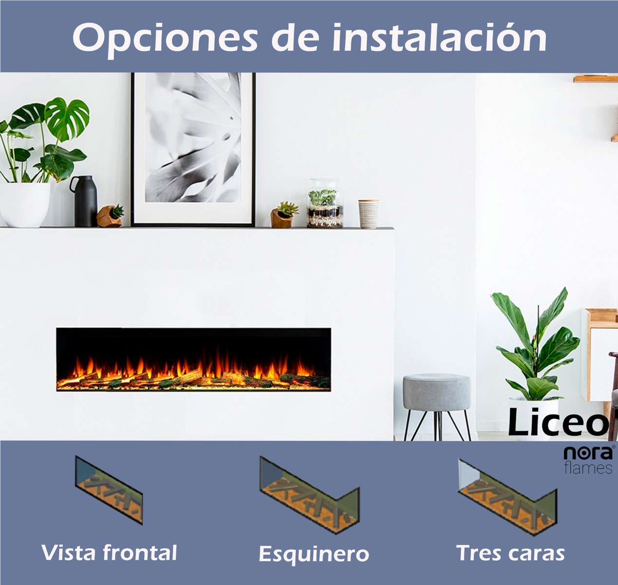 Opciones_de_instalacion_Liceoadl